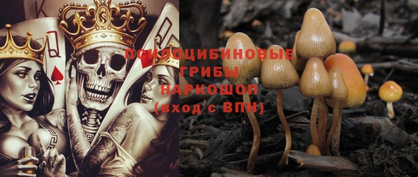 стаф Рославль